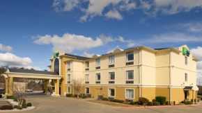 Holiday Inn Express Hotel & Suites Mount Pleasant by IHG
